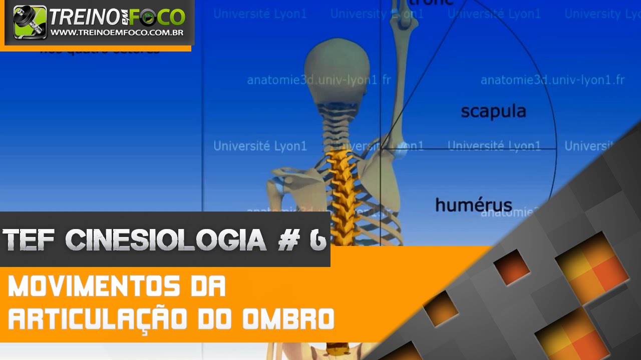 A Importância dos Drip Tips Anatômicos na Ergonomia