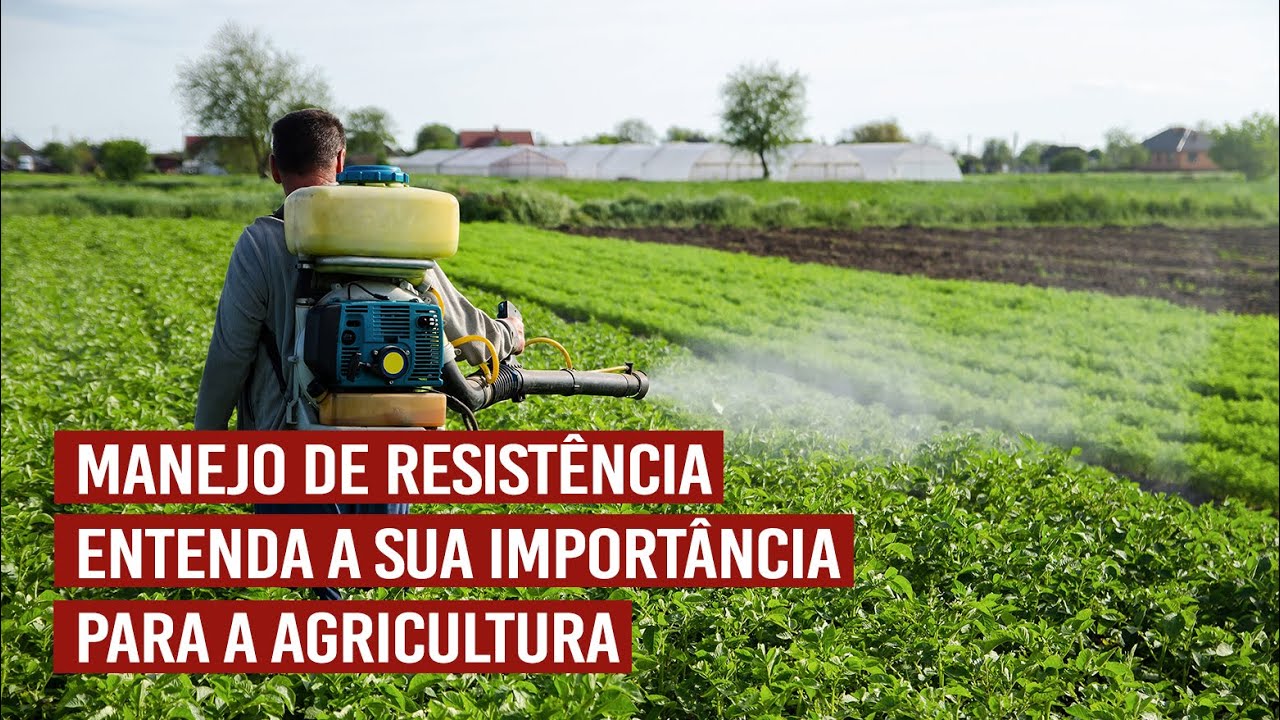 A Importância da Resistência Adequada