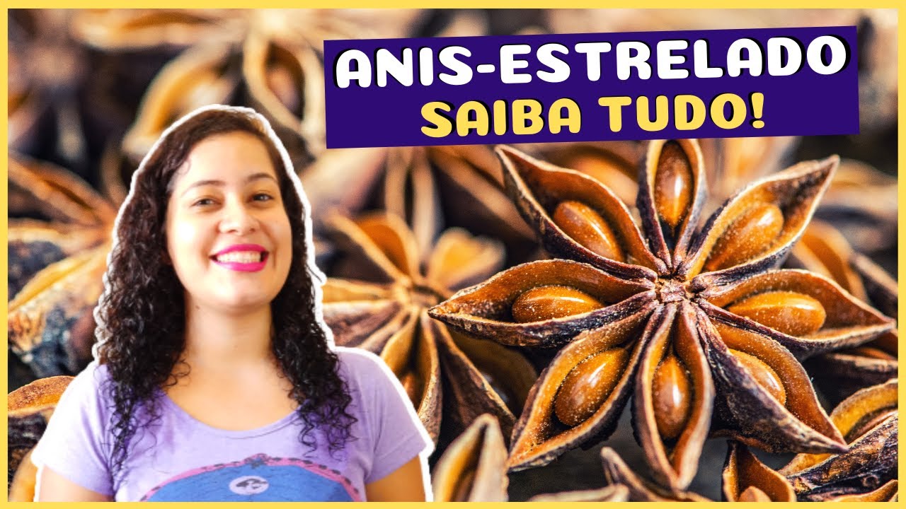 Deliciosas Receitas com Anis Estrelado: Sabores Únicos