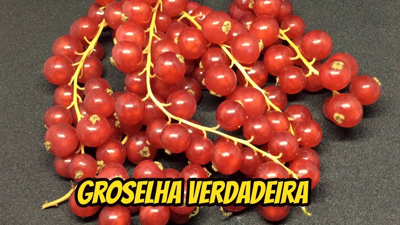 Descubra os Benefícios dos Aromas Naturais de Groselha