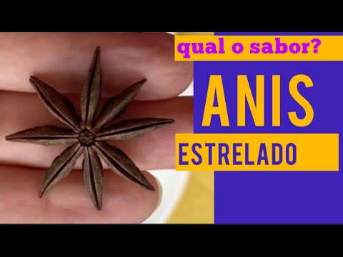 Aromas Naturais do Anis Estrelado: Benefícios e Usos