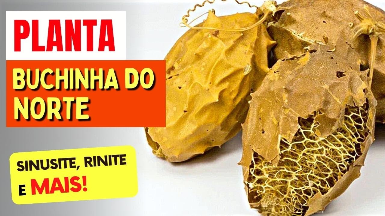 Benefícios para a saúde dos vapores de menta e eucalipto